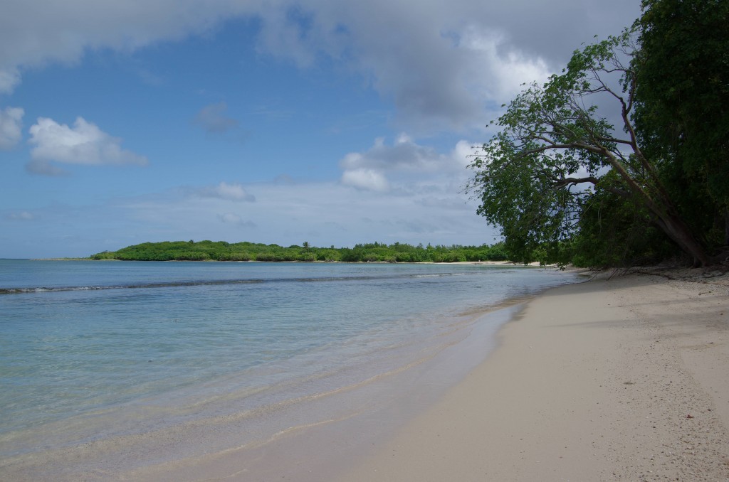 Port Louis Mangrove